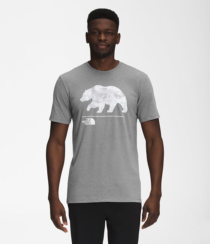 The North Face Mens T-Shirts Bearscape Short Sleeve 536TGHKCO - Grey